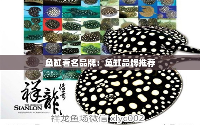 魚(yú)缸著名品牌：魚(yú)缸品牌推薦