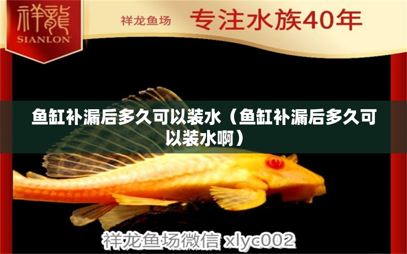 魚缸補(bǔ)漏后多久可以裝水（魚缸補(bǔ)漏后多久可以裝水?。? title=