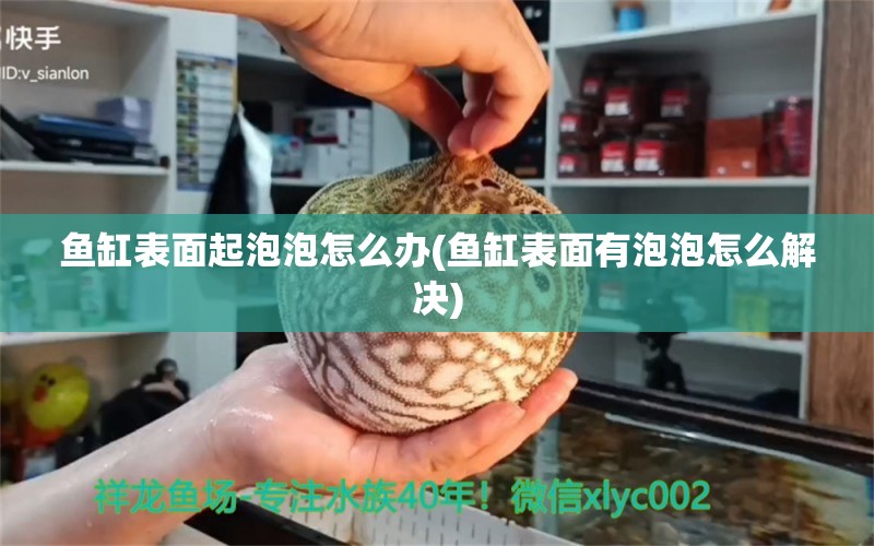 魚(yú)缸表面起泡泡怎么辦(魚(yú)缸表面有泡泡怎么解決) 觀賞魚(yú)百科