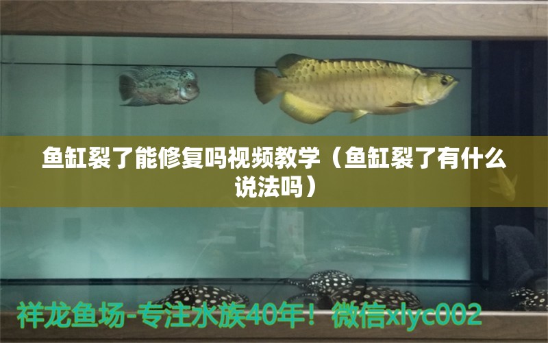 魚缸裂了能修復(fù)嗎視頻教學(xué)（魚缸裂了有什么說法嗎）