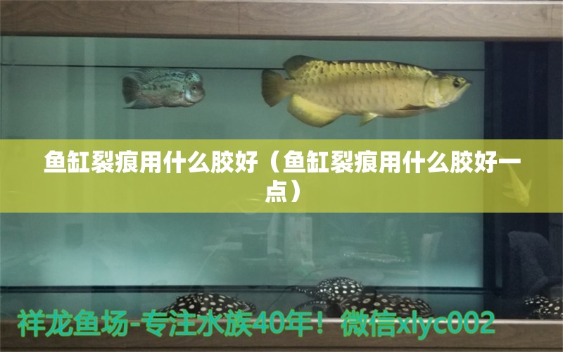 魚(yú)缸裂痕用什么膠好（魚(yú)缸裂痕用什么膠好一點(diǎn)）