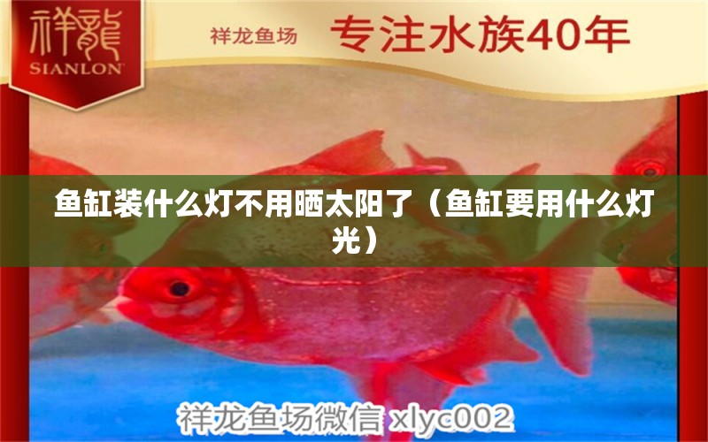 魚(yú)缸裝什么燈不用曬太陽(yáng)了（魚(yú)缸要用什么燈光） 朱巴利魚(yú) 第1張