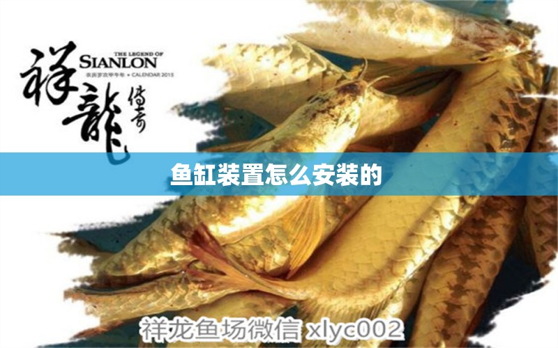 魚缸裝置怎么安裝的  祥龍金禾金龍魚