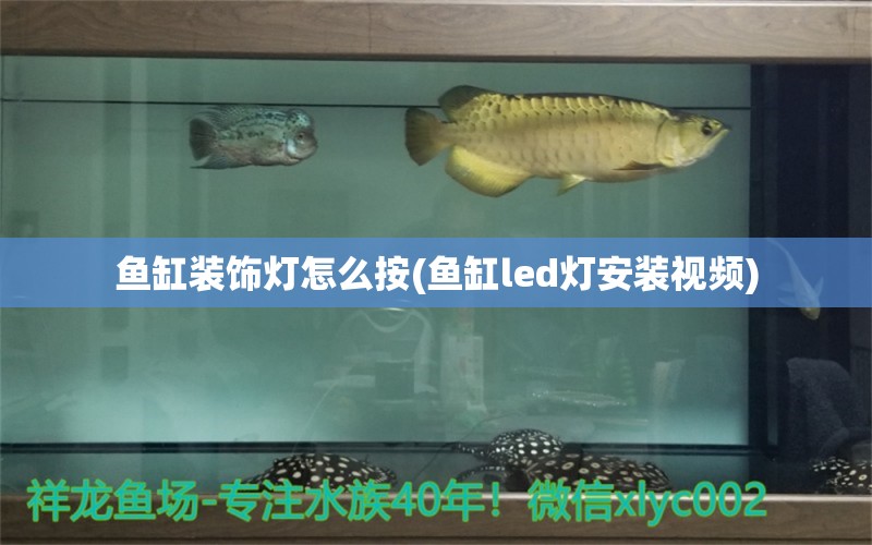 魚缸裝飾燈怎么按(魚缸led燈安裝視頻)