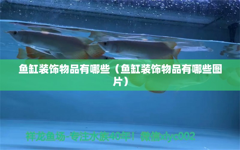 魚缸裝飾物品有哪些（魚缸裝飾物品有哪些圖片） 泰國虎魚