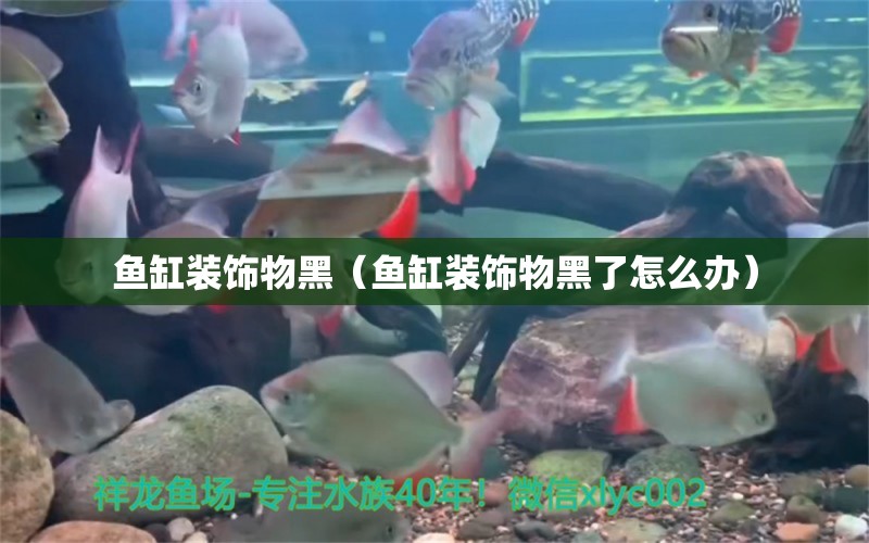 魚缸裝飾物黑（魚缸裝飾物黑了怎么辦）