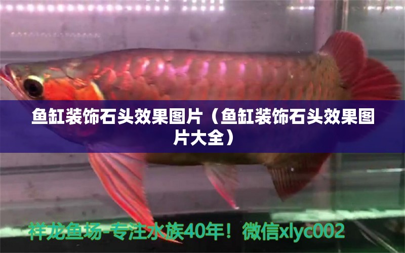 魚缸裝飾石頭效果圖片（魚缸裝飾石頭效果圖片大全）