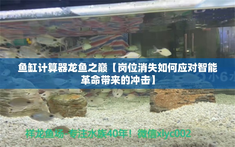 魚缸計算器龍魚之巔【崗位消失如何應對智能革命帶來的沖擊】