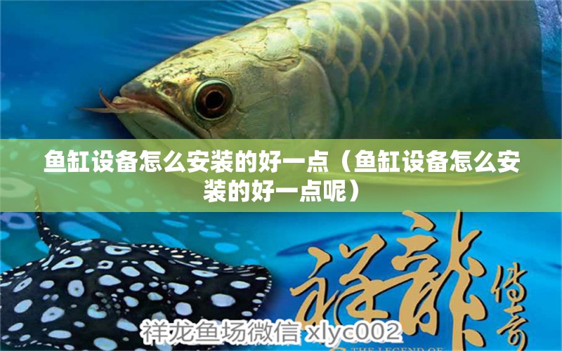 魚缸設(shè)備怎么安裝的好一點(diǎn)（魚缸設(shè)備怎么安裝的好一點(diǎn)呢）