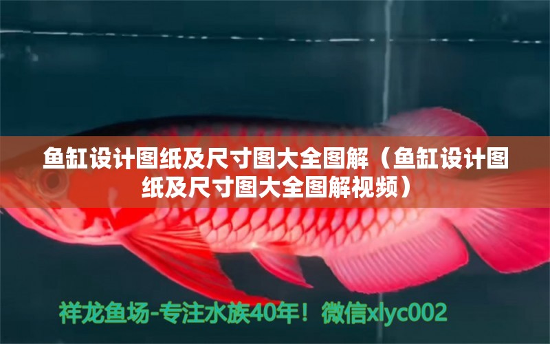 魚(yú)缸設(shè)計(jì)圖紙及尺寸圖大全圖解（魚(yú)缸設(shè)計(jì)圖紙及尺寸圖大全圖解視頻）