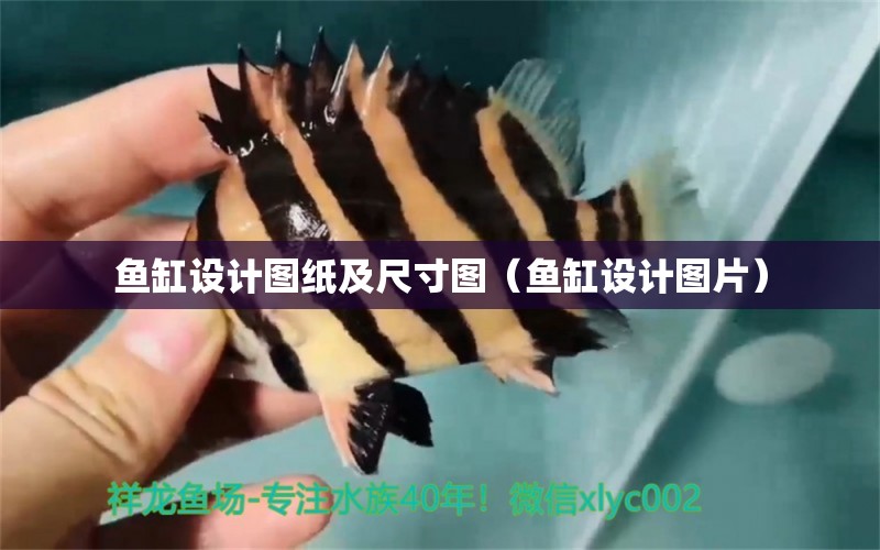 魚(yú)缸設(shè)計(jì)圖紙及尺寸圖（魚(yú)缸設(shè)計(jì)圖片）