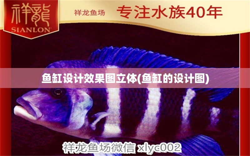 魚缸設(shè)計效果圖立體(魚缸的設(shè)計圖) 廣州水族器材濾材批發(fā)市場 第1張