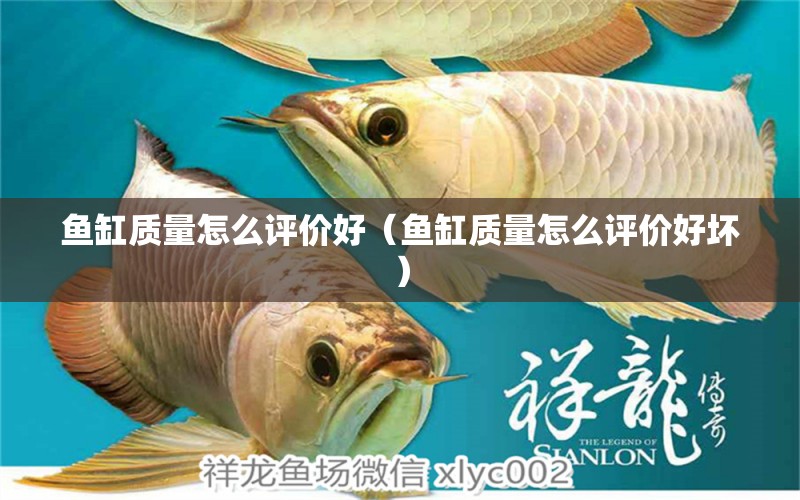 魚缸質(zhì)量怎么評價好（魚缸質(zhì)量怎么評價好壞）