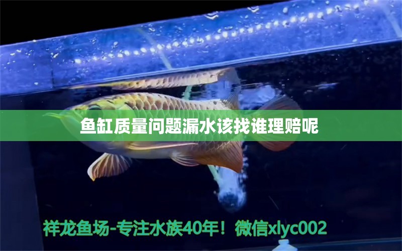 魚(yú)缸質(zhì)量問(wèn)題漏水該找誰(shuí)理賠呢 