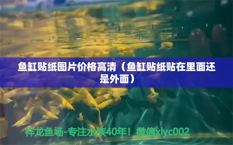 魚缸貼紙圖片價(jià)格高清（魚缸貼紙貼在里面還是外面） 水族燈（魚缸燈）