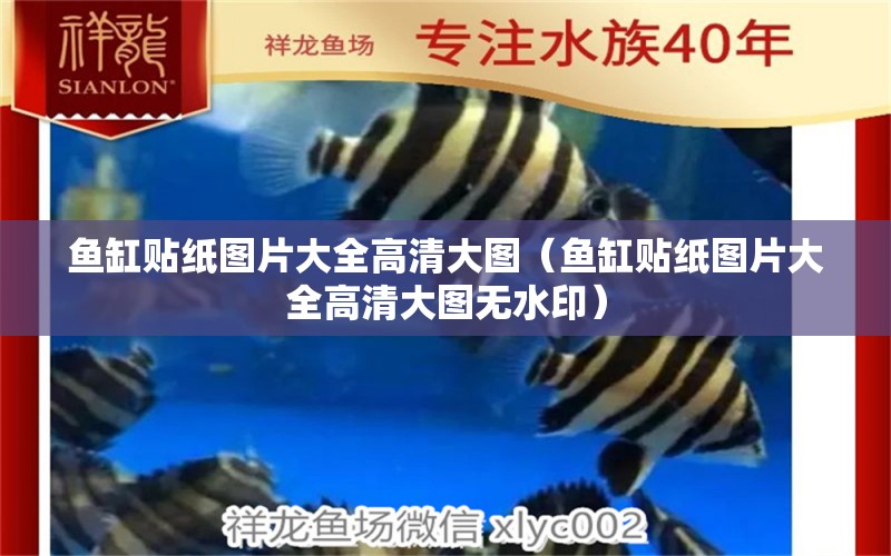 魚缸貼紙圖片大全高清大圖（魚缸貼紙圖片大全高清大圖無水?。? title=