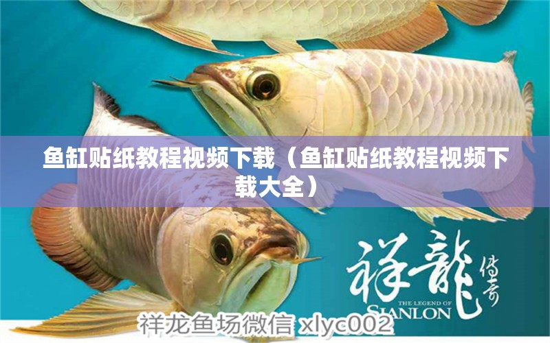 魚缸貼紙教程視頻下載（魚缸貼紙教程視頻下載大全） 全國(guó)觀賞魚市場(chǎng)