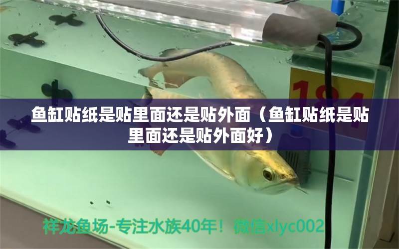 魚缸貼紙是貼里面還是貼外面（魚缸貼紙是貼里面還是貼外面好）