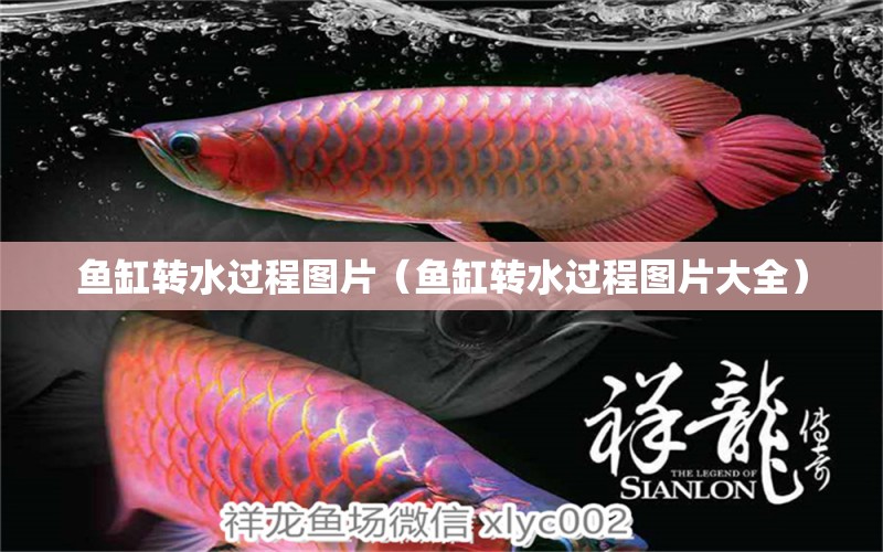 魚缸轉(zhuǎn)水過程圖片（魚缸轉(zhuǎn)水過程圖片大全） 其他品牌魚缸