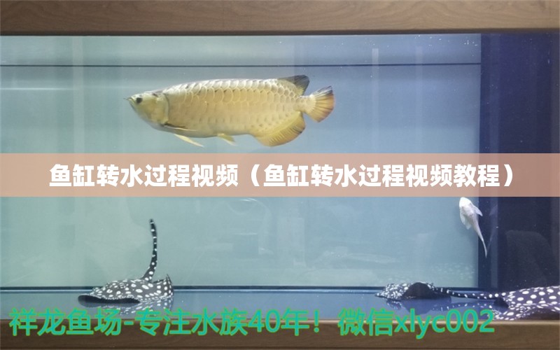 魚缸轉(zhuǎn)水過程視頻（魚缸轉(zhuǎn)水過程視頻教程）