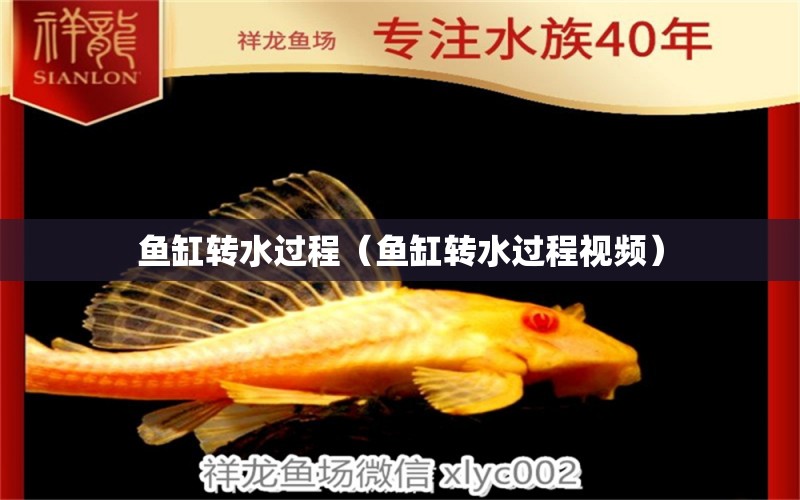 魚缸轉(zhuǎn)水過程（魚缸轉(zhuǎn)水過程視頻） 其他品牌魚缸