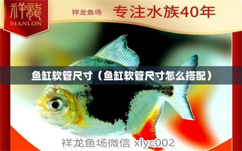 魚缸軟管尺寸（魚缸軟管尺寸怎么搭配）