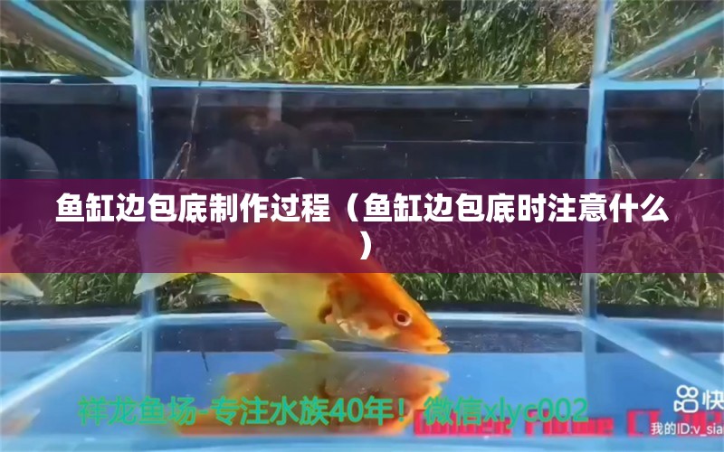 魚缸邊包底制作過程（魚缸邊包底時注意什么）