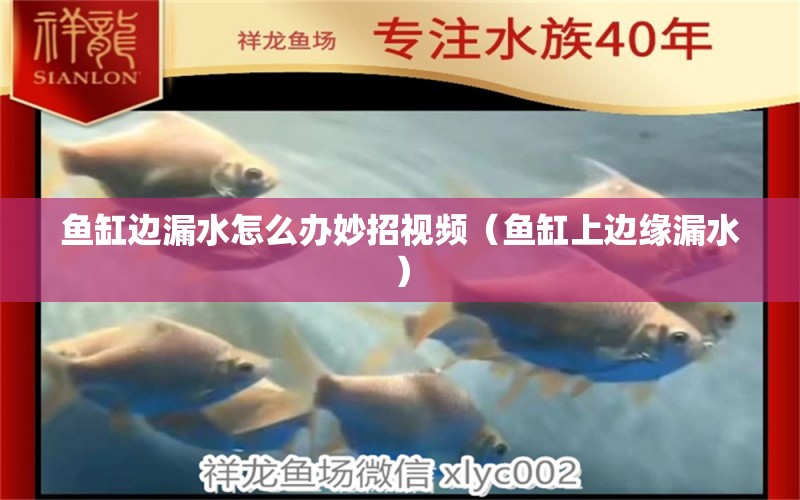 魚缸邊漏水怎么辦妙招視頻（魚缸上邊緣漏水）