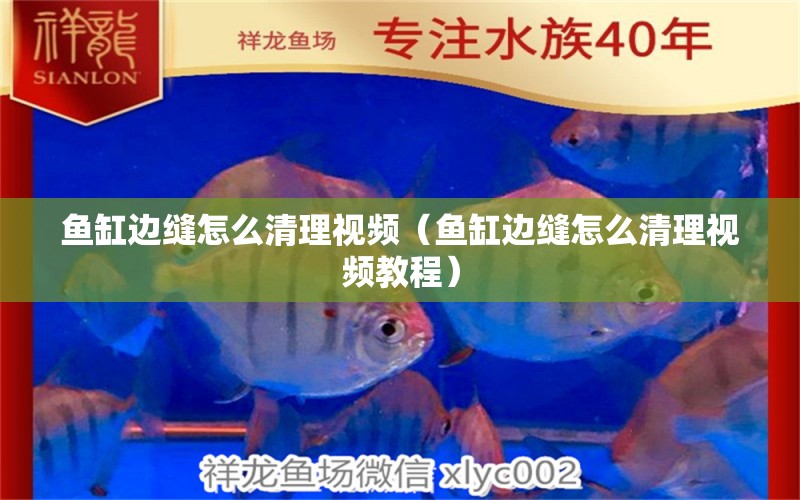 魚缸邊縫怎么清理視頻（魚缸邊縫怎么清理視頻教程）