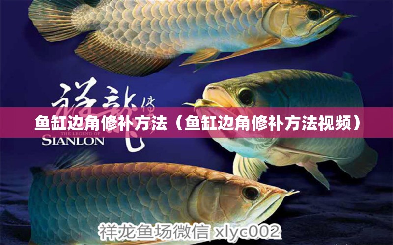 魚缸邊角修補(bǔ)方法（魚缸邊角修補(bǔ)方法視頻）