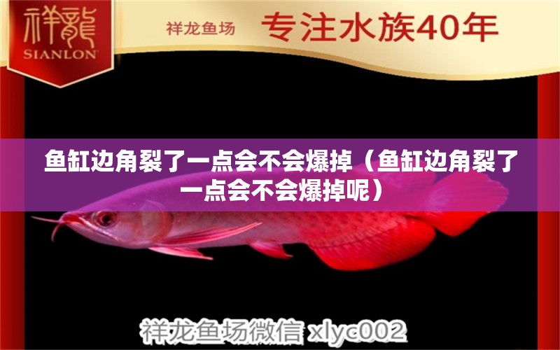 魚(yú)缸邊角裂了一點(diǎn)會(huì)不會(huì)爆掉（魚(yú)缸邊角裂了一點(diǎn)會(huì)不會(huì)爆掉呢）