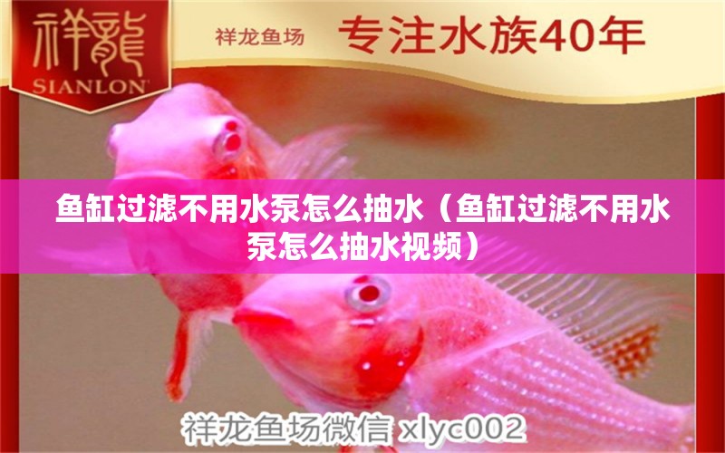 魚缸過濾不用水泵怎么抽水（魚缸過濾不用水泵怎么抽水視頻）