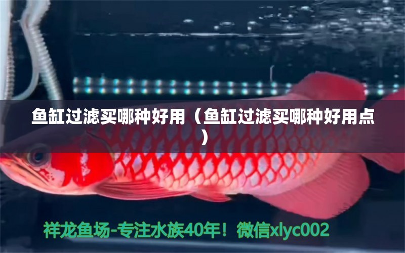 魚(yú)缸過(guò)濾買哪種好用（魚(yú)缸過(guò)濾買哪種好用點(diǎn)）