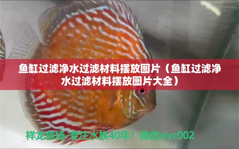 魚缸過濾凈水過濾材料擺放圖片（魚缸過濾凈水過濾材料擺放圖片大全） 祥龍水族醫(yī)院