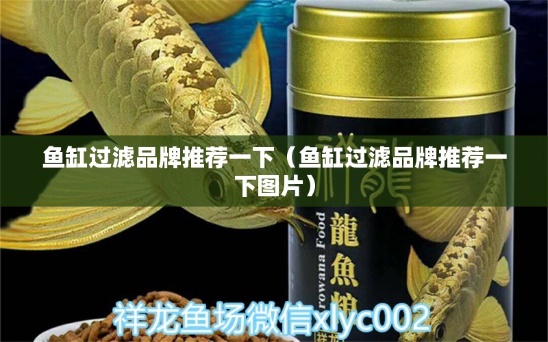 魚缸過濾品牌推薦一下（魚缸過濾品牌推薦一下圖片）