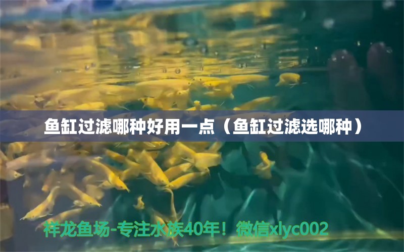 魚缸過濾哪種好用一點（魚缸過濾選哪種）