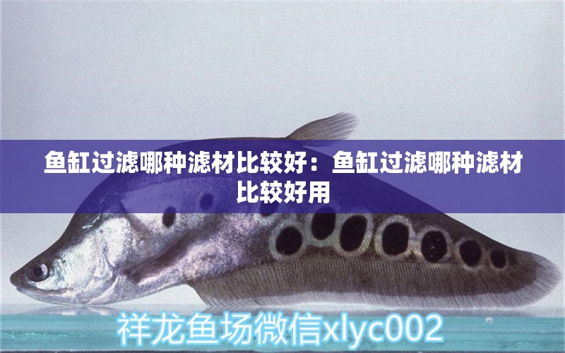 魚缸過濾哪種濾材比較好：魚缸過濾哪種濾材比較好用