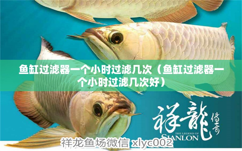 魚缸過濾器一個(gè)小時(shí)過濾幾次（魚缸過濾器一個(gè)小時(shí)過濾幾次好）