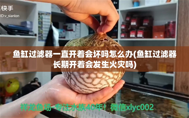 魚缸過濾器一直開著會壞嗎怎么辦(魚缸過濾器長期開著會發(fā)生火災(zāi)嗎)