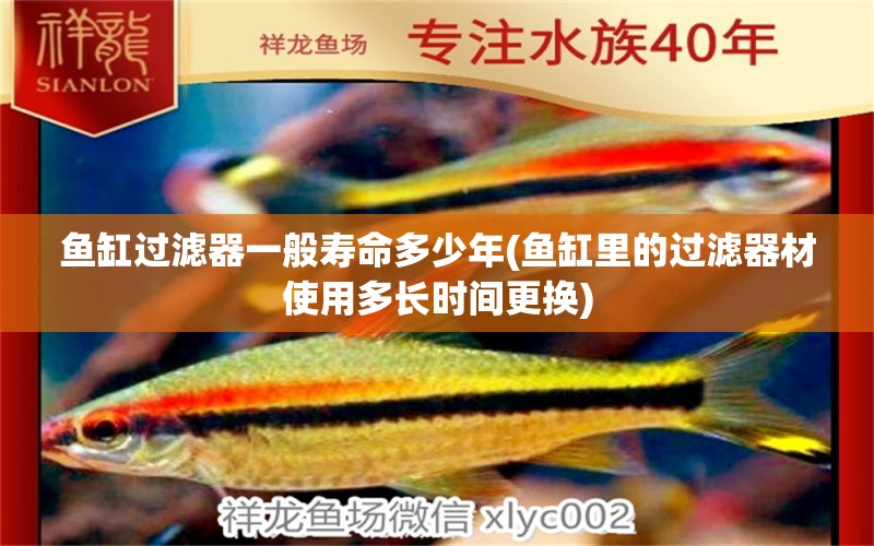 魚缸過濾器一般壽命多少年(魚缸里的過濾器材使用多長時間更換)