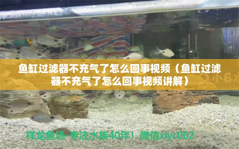 魚缸過濾器不充氣了怎么回事視頻（魚缸過濾器不充氣了怎么回事視頻講解）