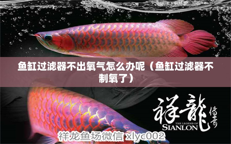 魚(yú)缸過(guò)濾器不出氧氣怎么辦呢（魚(yú)缸過(guò)濾器不制氧了） 充氧泵 第1張