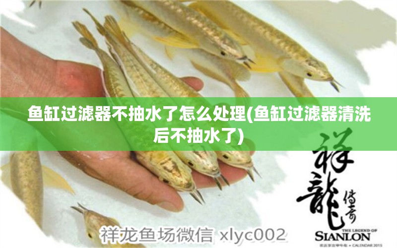 魚缸過(guò)濾器不抽水了怎么處理(魚缸過(guò)濾器清洗后不抽水了)