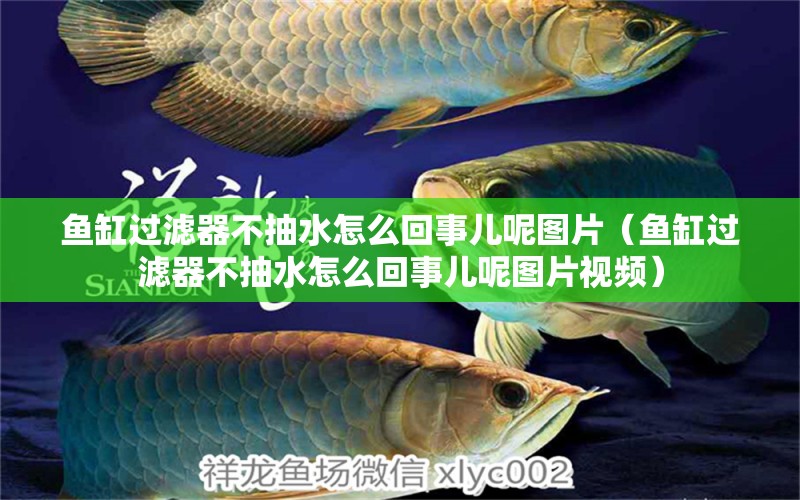 魚缸過濾器不抽水怎么回事兒呢圖片（魚缸過濾器不抽水怎么回事兒呢圖片視頻）