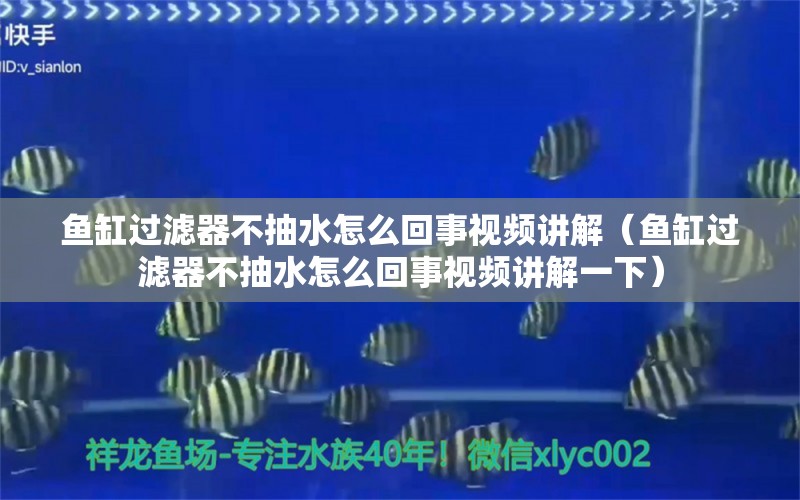 魚(yú)缸過(guò)濾器不抽水怎么回事視頻講解（魚(yú)缸過(guò)濾器不抽水怎么回事視頻講解一下） 量子養(yǎng)魚(yú)技術(shù)