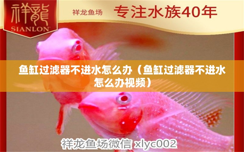 魚缸過濾器不進(jìn)水怎么辦（魚缸過濾器不進(jìn)水怎么辦視頻） 鐵甲武士