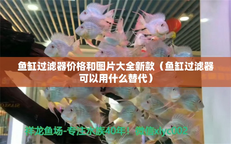 魚缸過濾器價格和圖片大全新款（魚缸過濾器可以用什么替代） 祥龍藍珀金龍魚 第2張