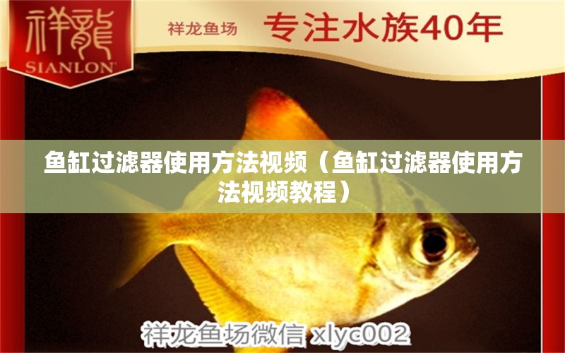 魚缸過濾器使用方法視頻（魚缸過濾器使用方法視頻教程） 其他品牌魚缸