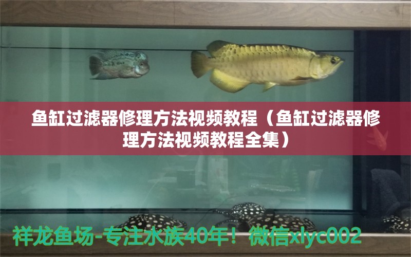 魚缸過(guò)濾器修理方法視頻教程（魚缸過(guò)濾器修理方法視頻教程全集） 其他品牌魚缸