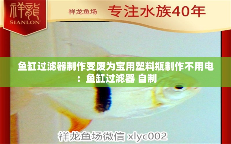 魚缸過濾器制作變廢為寶用塑料瓶制作不用電：魚缸過濾器 自制